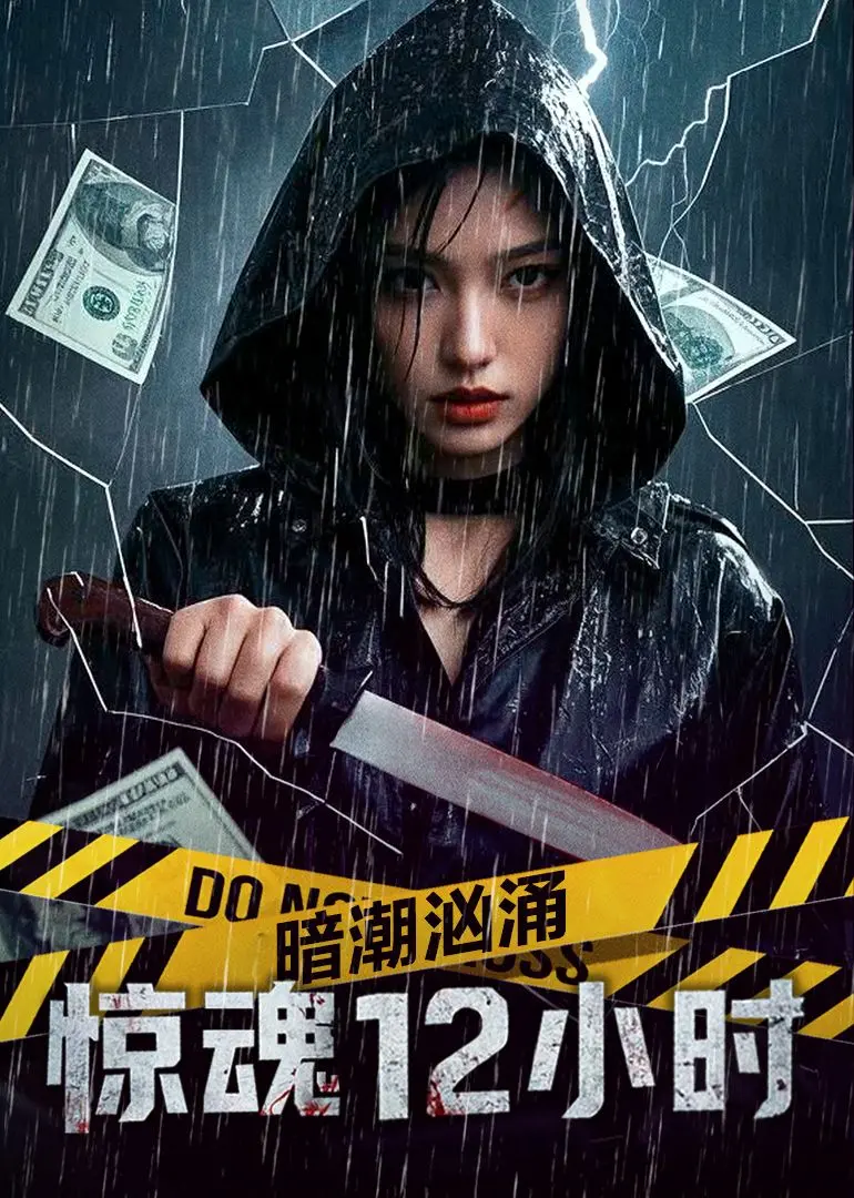 《暗潮汹涌之惊魂12小时》：午夜心跳加速，揭秘黑暗背后的真相