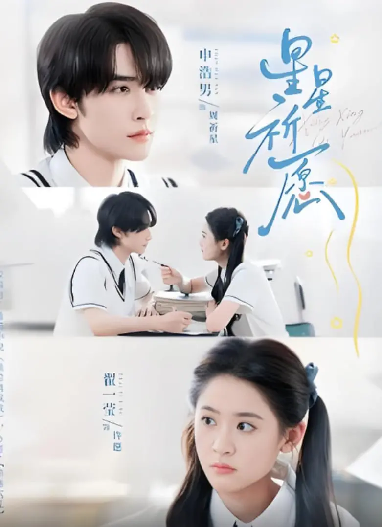 《越界》：悬疑与人性交织，当界限模糊，真相藏于迷雾，一场关于挑战极限的惊心动魄！