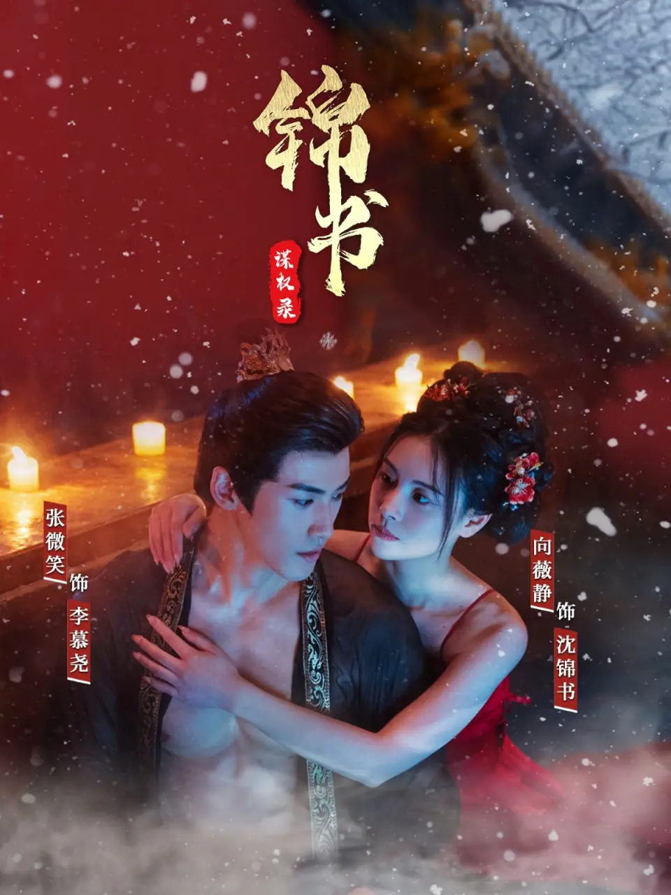 《锦书谋权录》：权谋智斗，步步惊心！看女主如何逆袭改写命运！