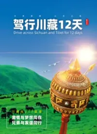 《驾行川藏12天》：一场震撼心灵的史诗级自驾之旅，体验极致风光与人生百态